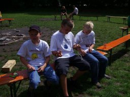 Goldenstedt 2008